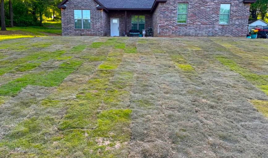 Sod Installation